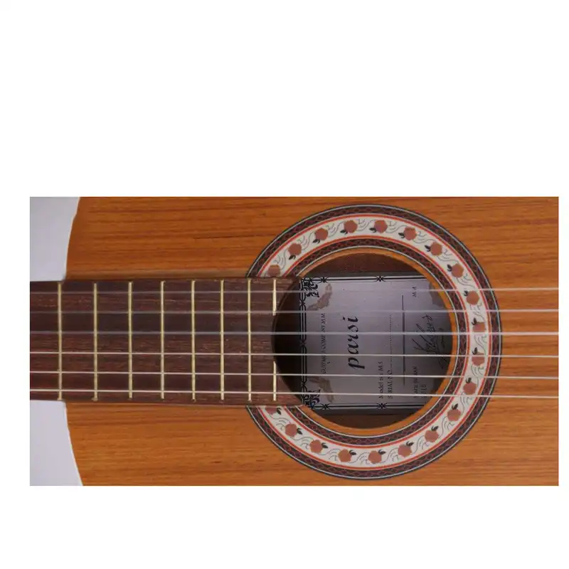 گیتار مدل m5