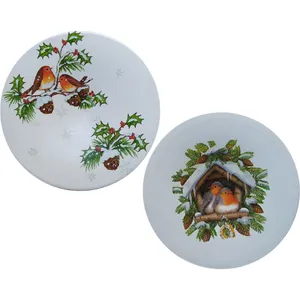 بشقاب دیوارکوب سفالی مدل پرنده و برف