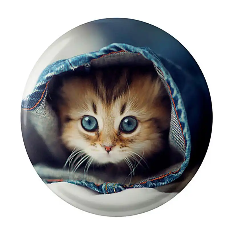 مگنت عرش طرح گربه ملوس کد Asm774