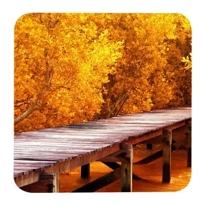 مگنت کد G1057 طرح نقاشی منظره پل و درخت پاییز