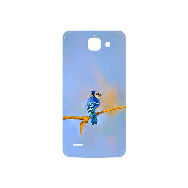 برچسب پوششی ماهوت مدل Cyanocitta cristata مناسب برای گوشی موبایل هوآوی Ascend G730