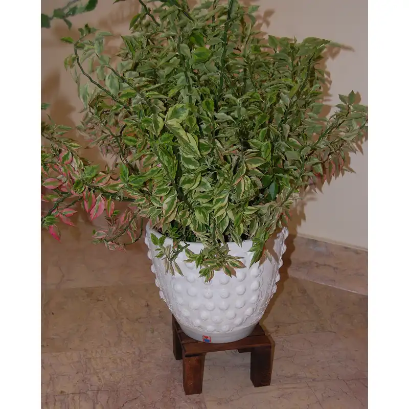 استند گلدان مدل Ramon-g2