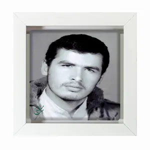 تابلو مبین ایده مدل شهیدپلارک Tm20 کد 408