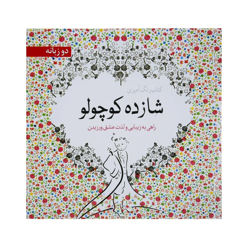 کتاب رنگ آمیزی شازده‌ کوچولو اثر آنتوان دو سنت اگزوپری