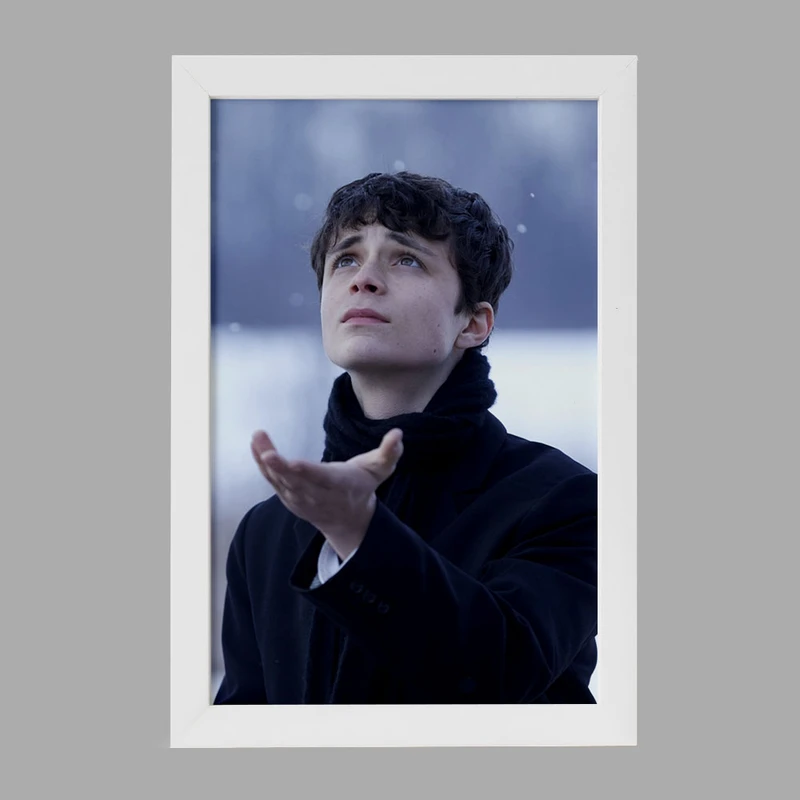 تابلو خندالو مدل گیلبرت سریال آنشرلی کد 28988