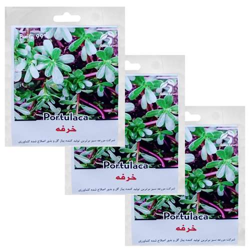 بذر خرفه گرین فارم کد GRK 1 بسته 3 عددی