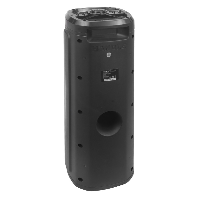 مشخصات، قیمت و خرید پخش کننده خانگی میکرولب مدل BASIC-601