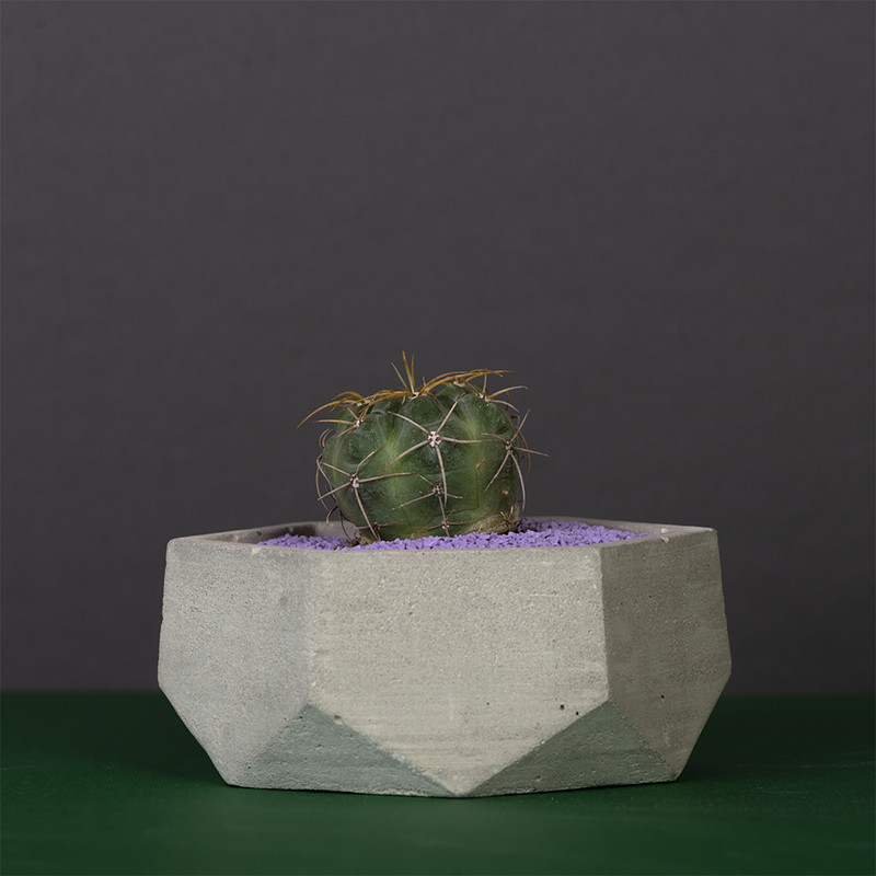 گلدان مدل A03