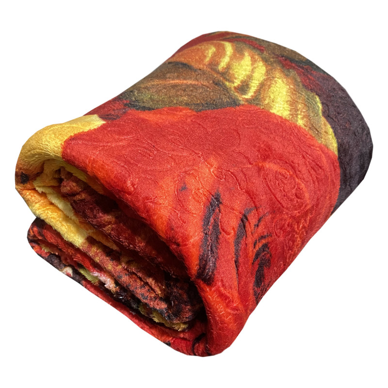 پتو مسافرتی مدل PN7 سایز 160x220 سانتی متر