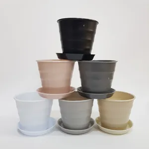 گلدان مدل کاکتوسی مات مجموعه 6 عددی 