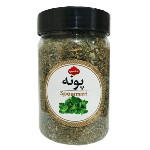 پونه کوهی سالمین - 50 گرم