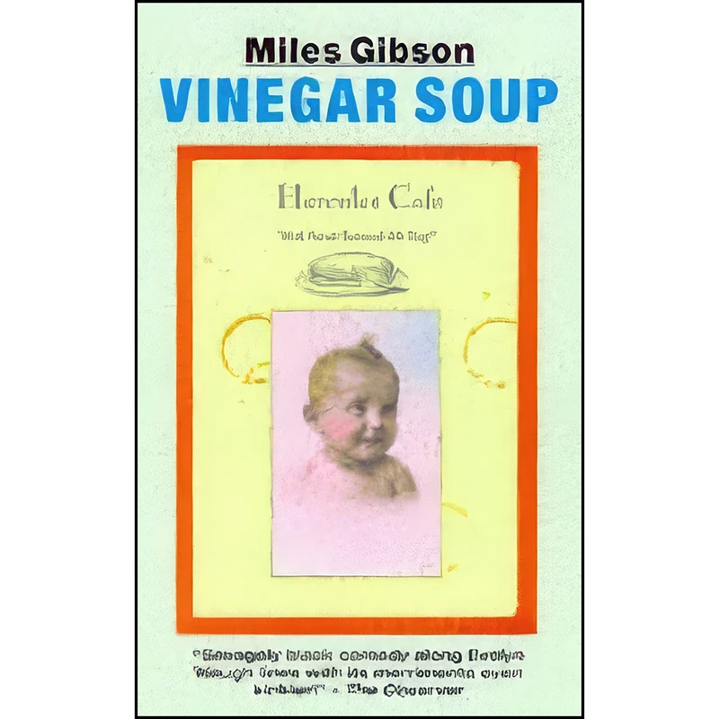 کتاب Vinegar Soup اثر Miles Gibson انتشارات Do Not Pr
