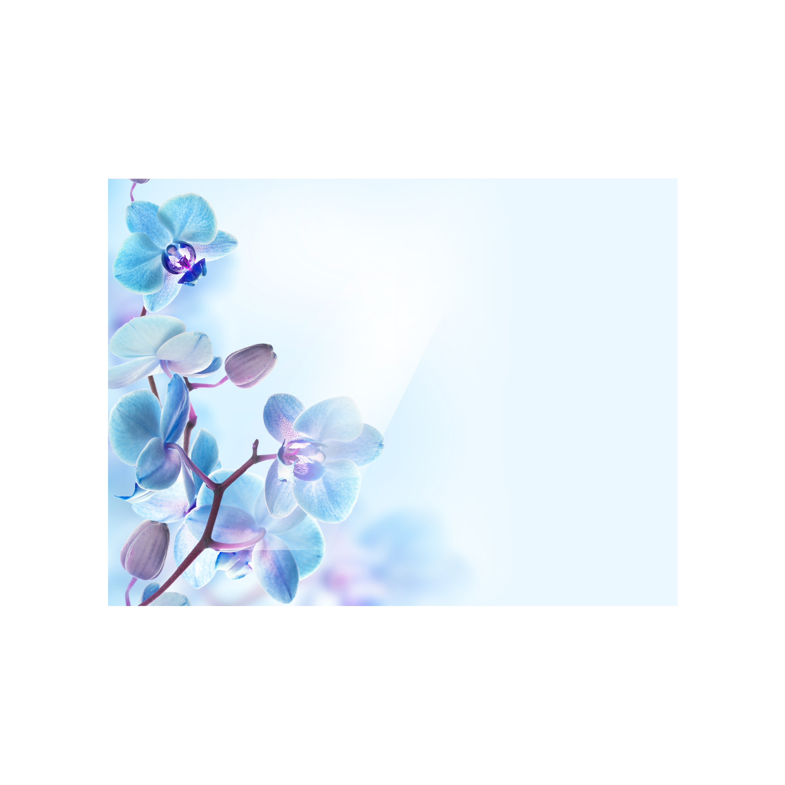 تخته گوشت مدل Flower202