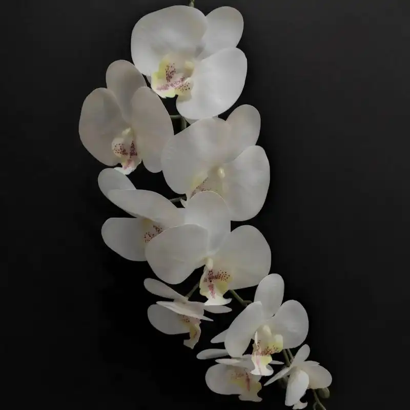 گل مصنوعی طرح شاخه ارکیده مدل تاچ کد PAL-9GOL