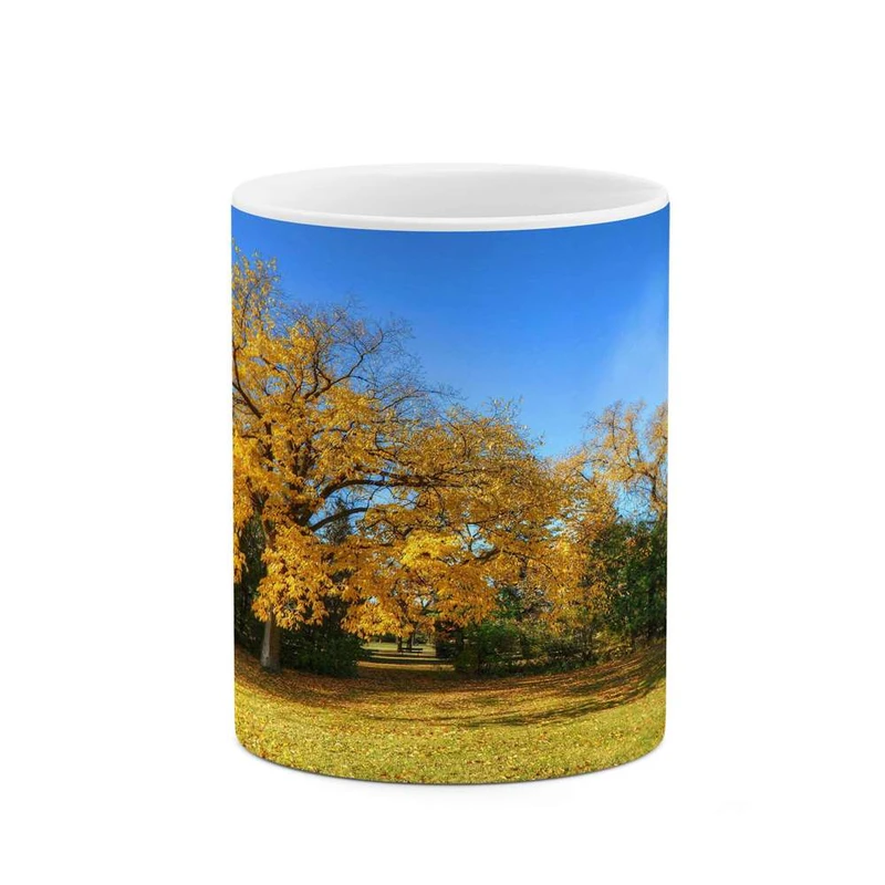 ماگ کاکتی مدل منظره کد mgh13118