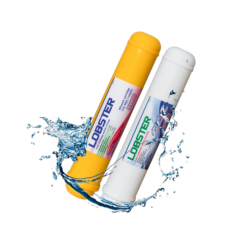 فیلتر دستگاه تصفیه کننده آب لابستر مدل L2F2 مجموعه 2 عددی به همراه فیلتر فیلمتک مدل ممبران