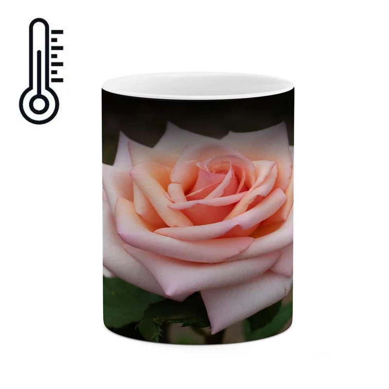 ماگ حرارتی کاکتی مدل گل کد mgh17290