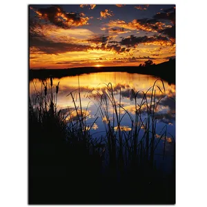 تابلو شاسی بکلیت طرح برکه مدل SH-S595