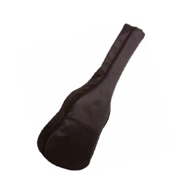 گیتار مدل CORD - C70