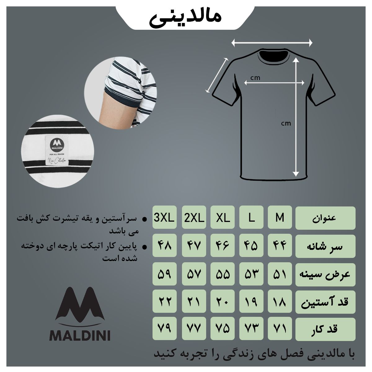 تی شرت آستین کوتاه مردانه مالدینی مدل t-437 -  - 5