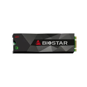 اس اس دی اینترنال بایوستار مدل M500 ظرفیت 1 ترابایت
