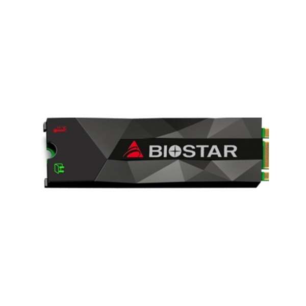 اس اس دی اینترنال بایوستار مدل M500 ظرفیت 1 ترابایت