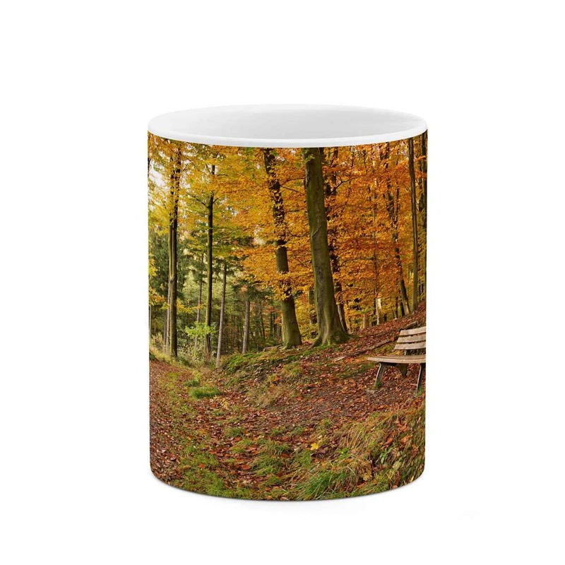 ماگ کاکتی مدل منظره کد mgh13223