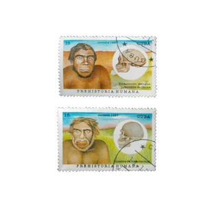 تمبر یادگاری طرح تاریخی مدل انسان اولیه کد hu-576 مجموعه 2 عددی