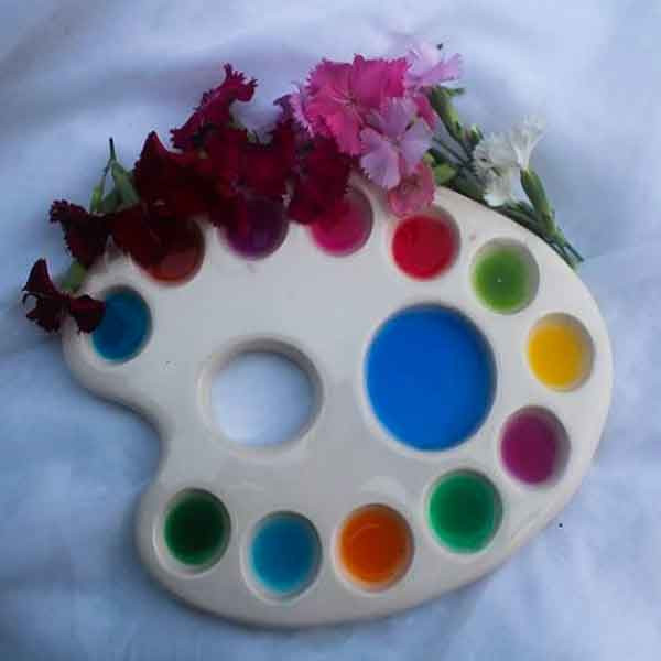 پالت رنگ مدل تخم مرغی کد 9535