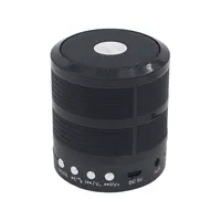 اسپیکر بلوتوثی قابل حمل مدل WS-887