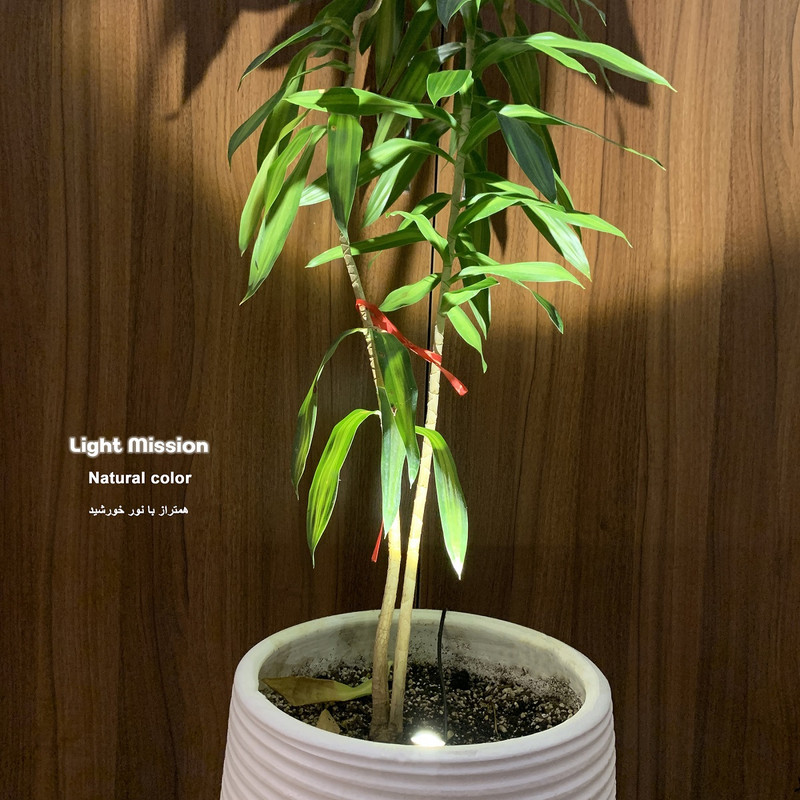 لامپ رشد گیاه 15 وات لایت ویژن مدل hp1-5w بسته سه عددی