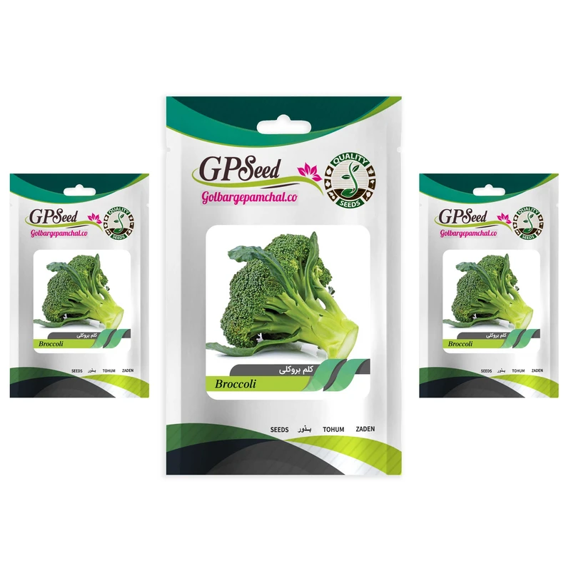 بذر کلم بروکلی گلبرگ پامچال کد GPF-164 مجموعه 3 عددی