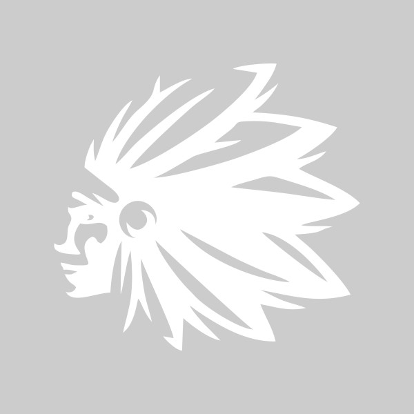 برچسب بدنه خودرو آداک طرح سرخ پوست2 سفید کد Redskins02