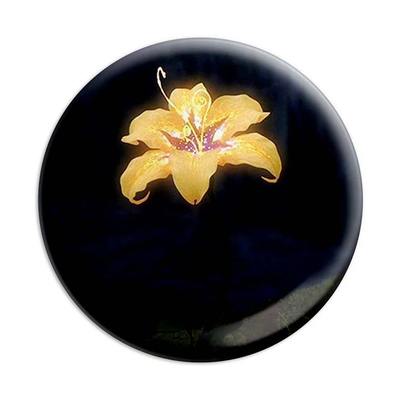 مگنت پرمانه طرح گیسوکمند کد pmag.15688