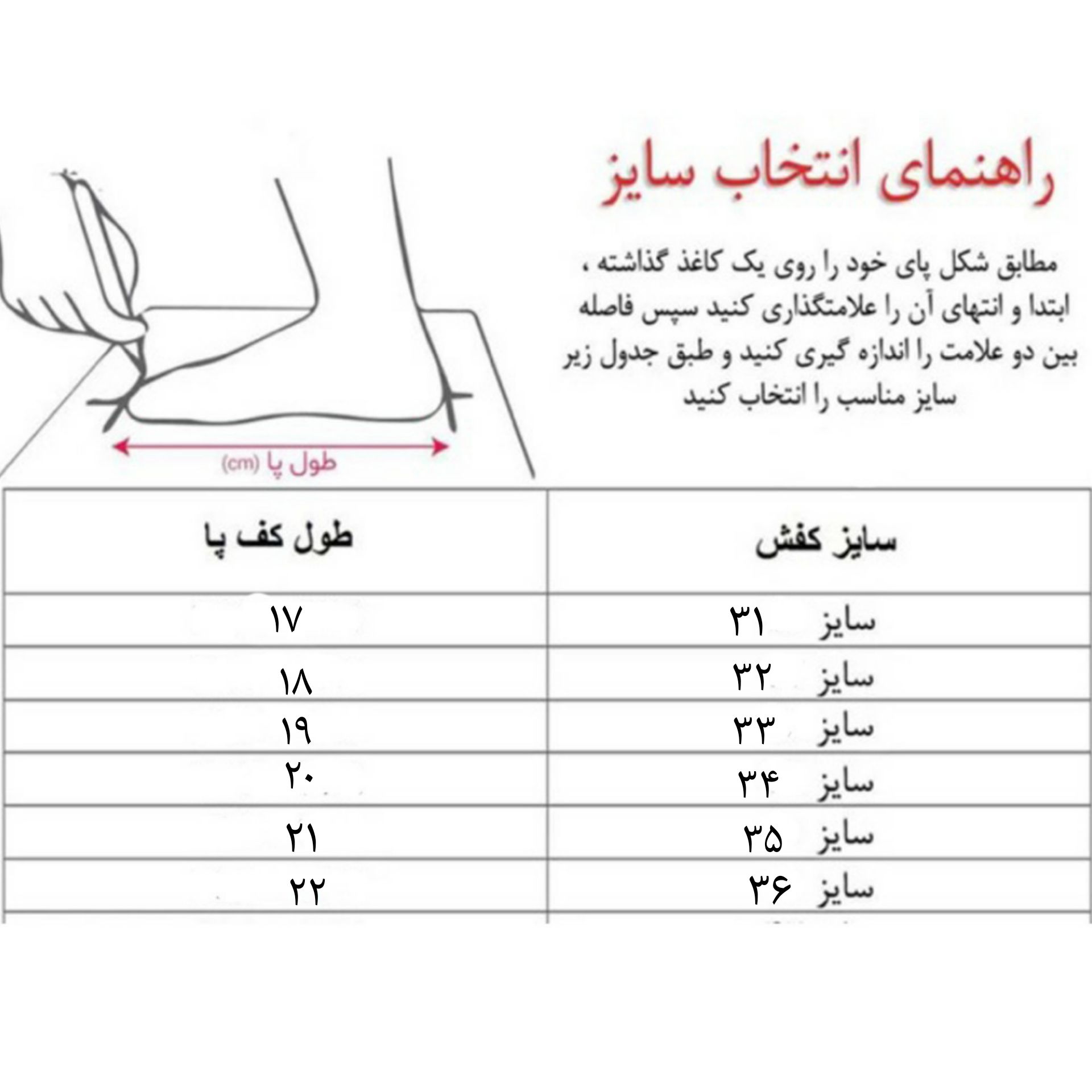 عکس شماره 4