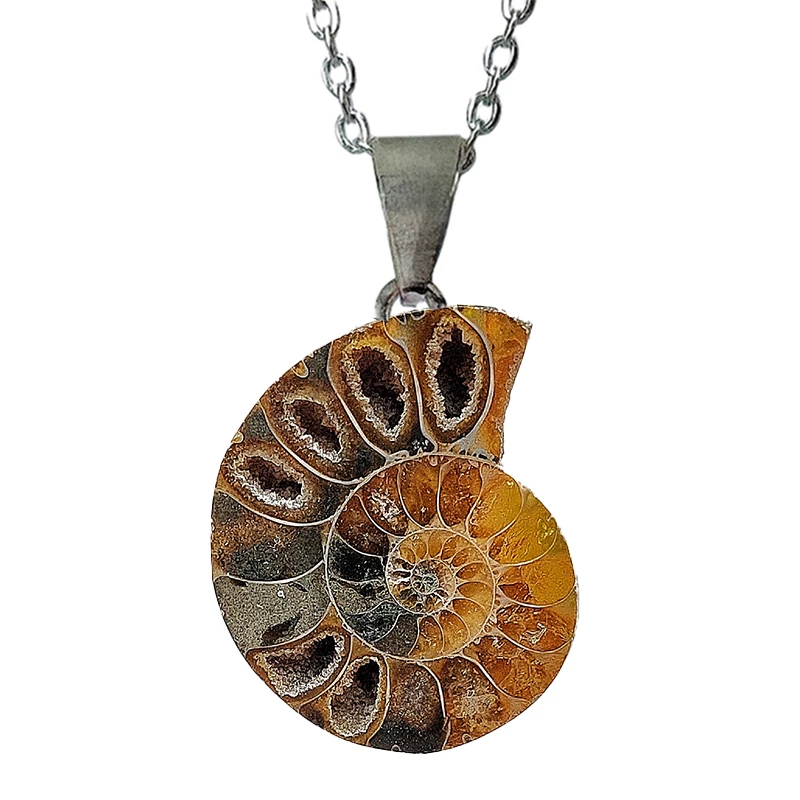 گردنبند دخترانه طرح آمونیت کد 12-12