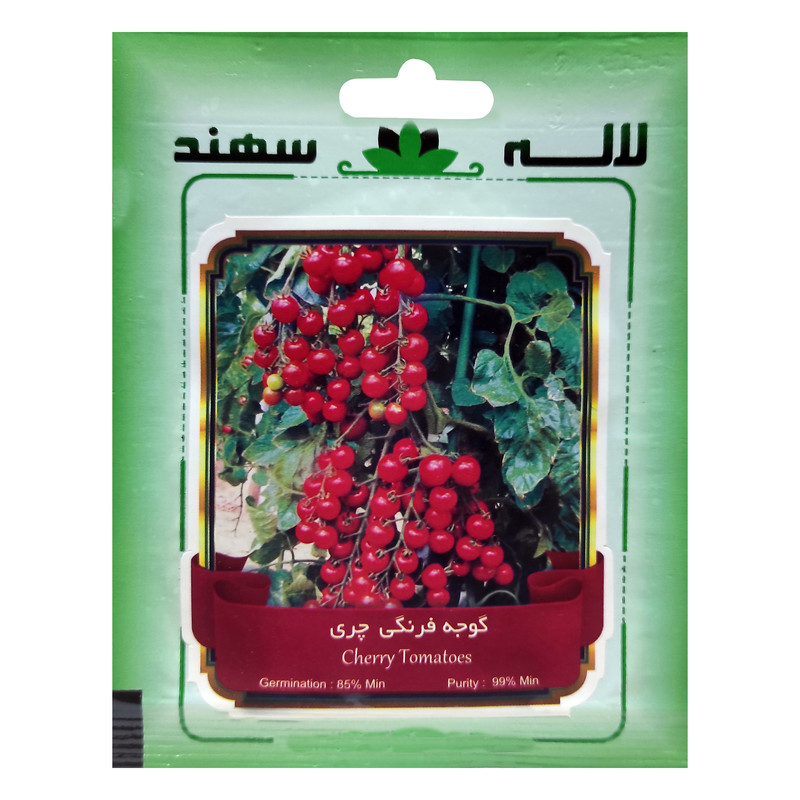 بذر گوجه فرنگی چری لاله سهند کد LSP-044