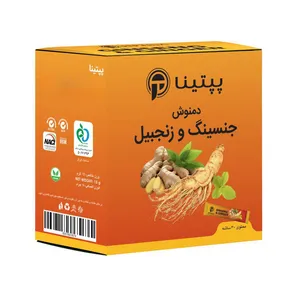دمنوش جینسینگ و زنجبیل پپتینا - 15 گرم بسته 30 عددی