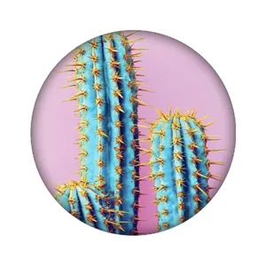 استیکر لپ تاپ طرح کاکتوس کد 4553