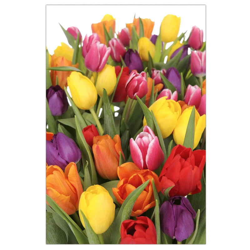 تابلو شاسی لابراتوار سهند طرح 355 سایز 45 × 30