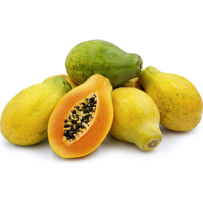 بذر پاپایا خربزه درختی پالم کد 10