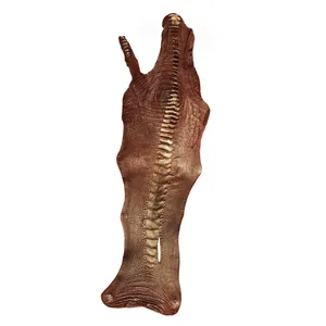 چرم طبیعی مدل ساق شتر مرغ کد OL075