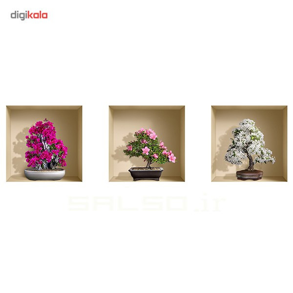 طاقچه مجازی صال سو آرت طرح بونسای