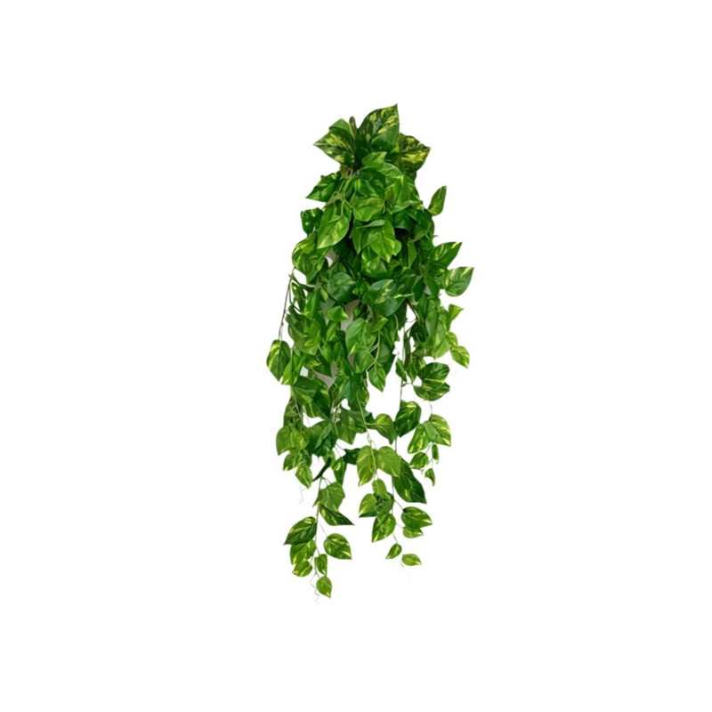 گل تزئینی طرح پتوس مصنوعی
