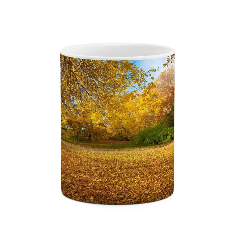 ماگ کاکتی مدل منظره کد mgh13089