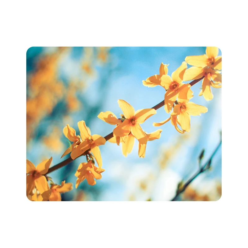 ماوس پد اطلس آبی طرح گل و آسمان مدل T1751