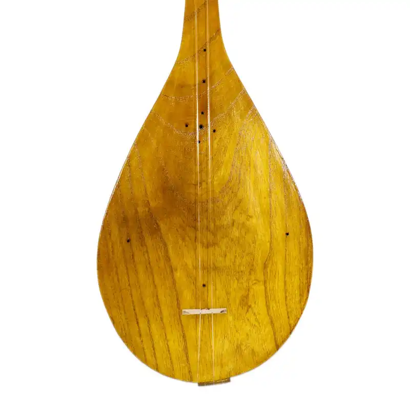 دوتار حیدری مدل یک مهر