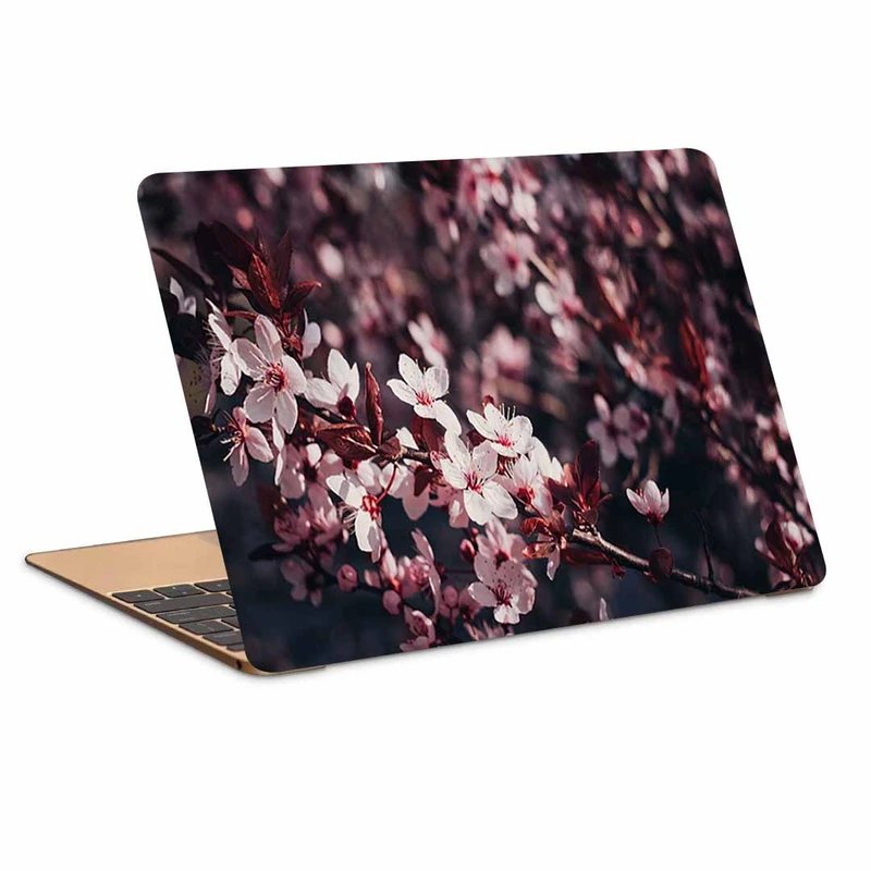 استیکر لپ تاپ طرح sakura flowers branchesکد N-520مناسب برای لپ تاپ 15.6 اینچ