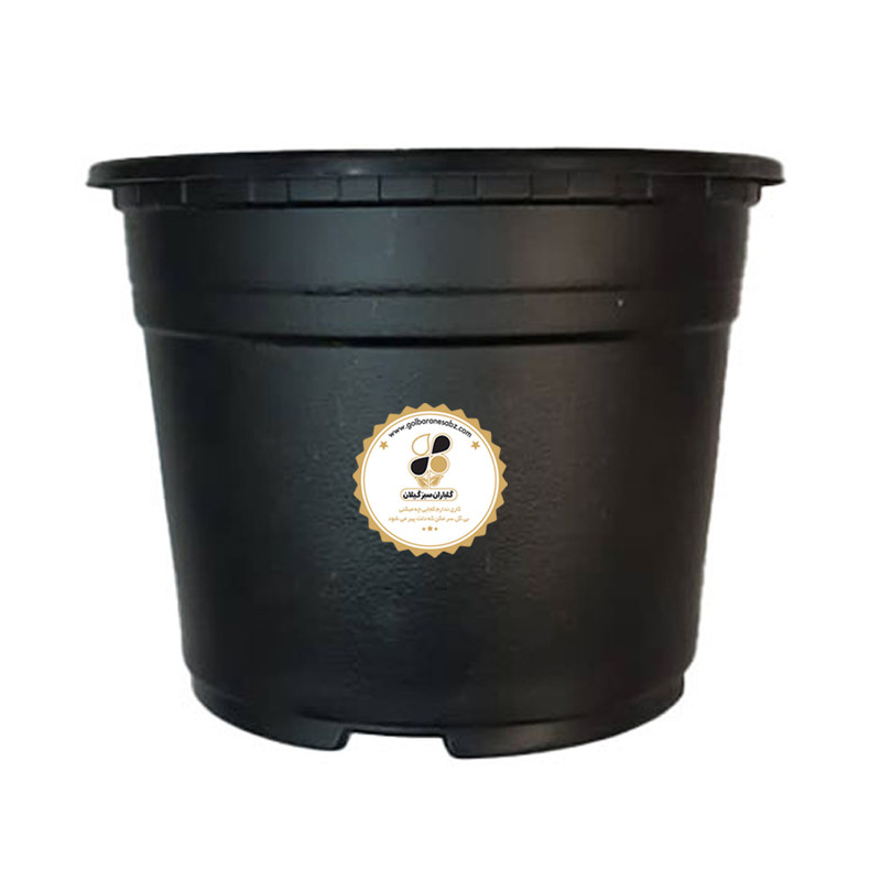 گلدان شرکت گلباران سبز گیلان مدل ژله ای GZH14 بسته 500 عددی