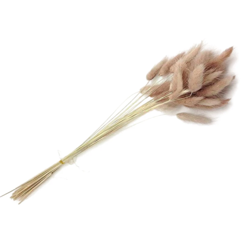 گل خشک مدل دم خرگوشی